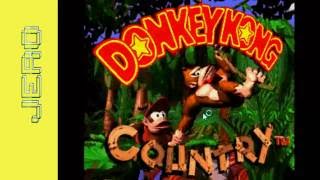 donkey kong adventure