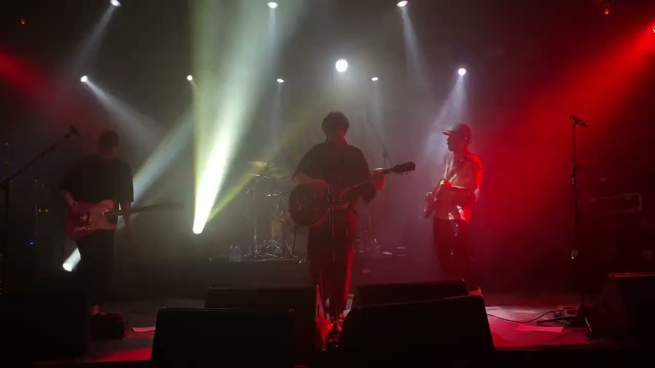 dal’lanan anlar; hepimizi bağlar, dal.