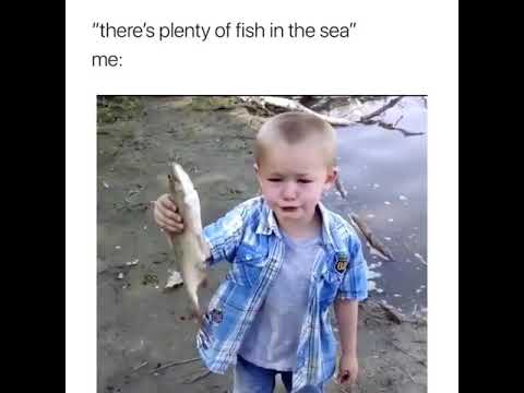 "There's plenty of fish in the sea" Meme - YouTube