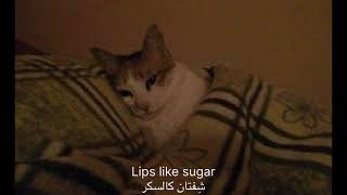 Pretty things -big thief مترجمة مع الشرح