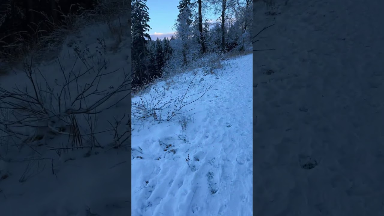 Atleast one place in Germany with snow 