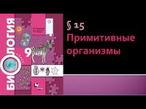 Биология 9 класс. Примитивные организмы