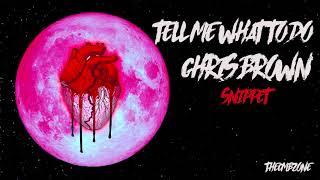 Chris Brown - Tell Me What To Do (Heartbreak On a Full Moon) - Snippet (Official Audio)