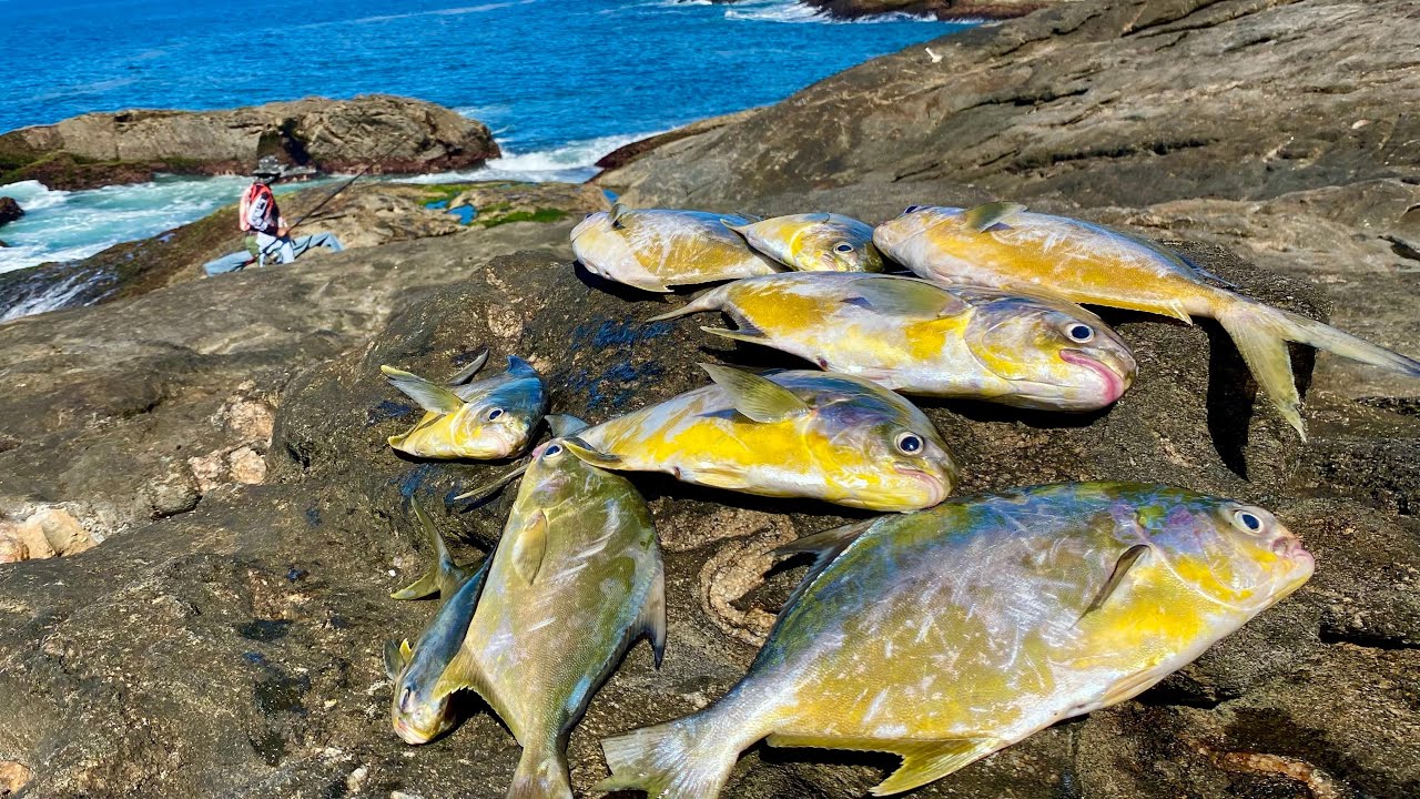IMPRESSIONANTE! Esse pesqueiro NUNCA falha na pescaria de costão. ROCK FISHING 