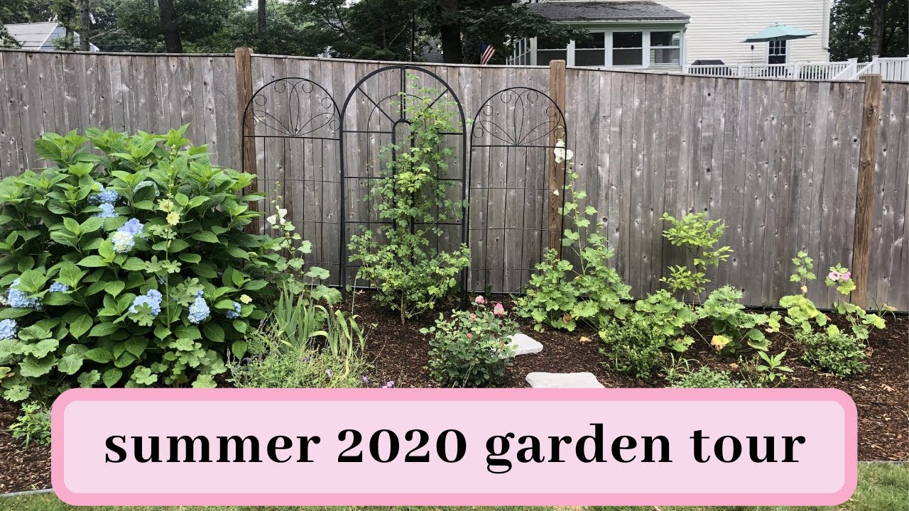 summer 2020 outdoor garden tour! 🌸✨