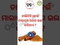 Intresting Odia gk Questions and Answers || || Odia Gk Quiz |#gk #quiz #odiyagknews #shorts #gknews