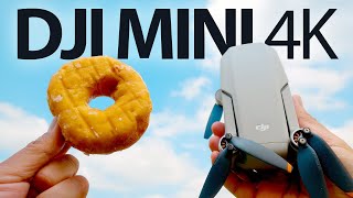 DJI Mini 4K: Cheap Drone, Unexpected Results 🤯 by Sidney Diongzon 5,818 views 2 weeks ago 8 minutes, 6 seconds