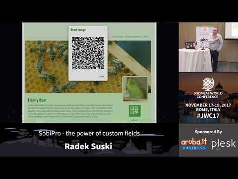 SobiPro - the power of custom fields - Radek Suski