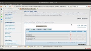 (Fixed) User Can Not Use Flash in phpBB Forum