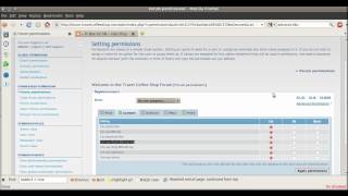 (Fixed) User Can Not Use Flash in phpBB Forum
