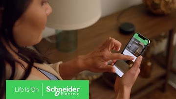 Introducing the New Square D Wiring Devices in Canada! | Schneider Electric