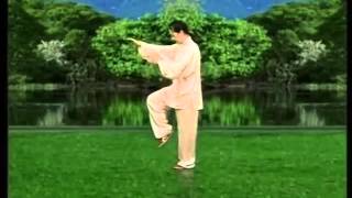 武式太极拳46式 Taiji (29-32)
