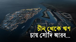 চীন থেকে ঋণ চায় সৌদি আরব | SaudiArabia | China | Neom | Loan | Megacity | Business Report 2024