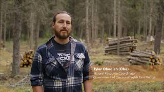 Wildfire risk reduction - FireSmart in the Yukon