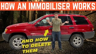 What Is An Immobiliser? How Does It Work? And How Do You DELETE It?