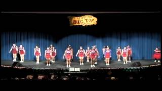 SHS Cheerleaders Homecoming 2016