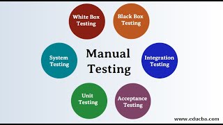 Famous Session 16 | Manual Testing | @itmediam Wealth