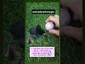 Simple energizing technique