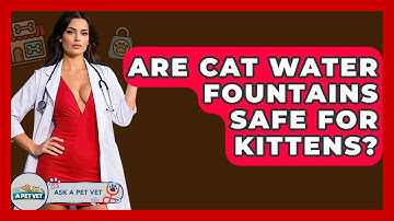 Are Cat Water Fountains Safe For Kittens? - Ask A Pet Vet