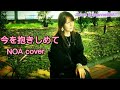 NOA💕今を抱きしめて🎵 🌸tomo🌸 & channel [DAT]