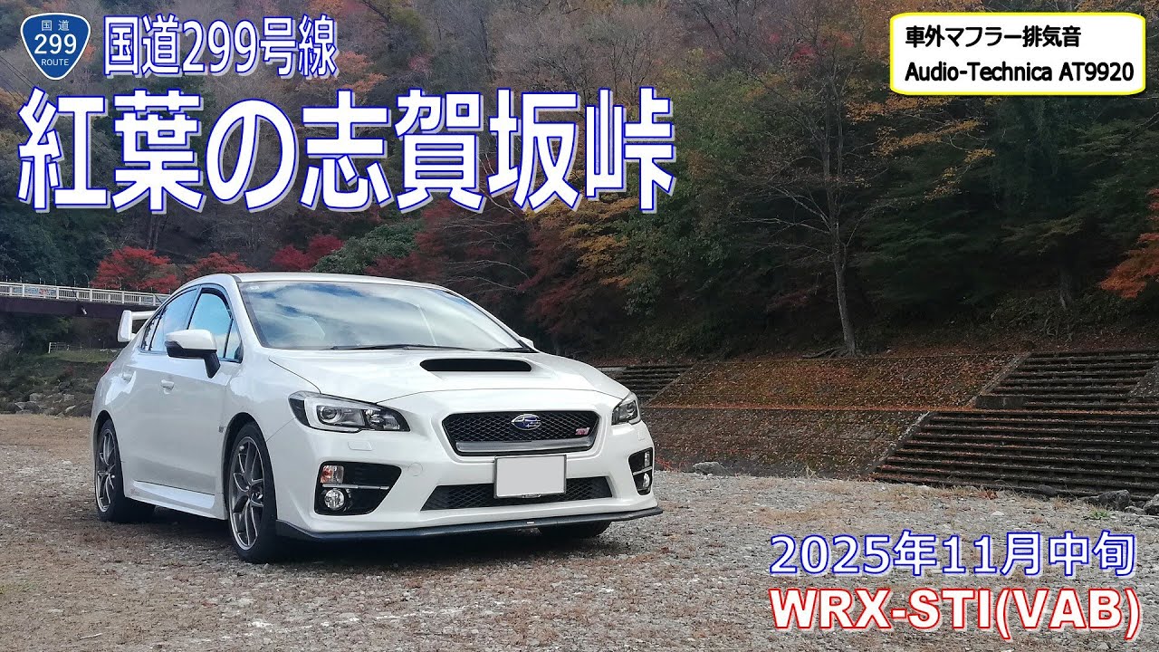 2025年11月中旬　紅葉の志賀坂峠　国道299号線　WRX STI