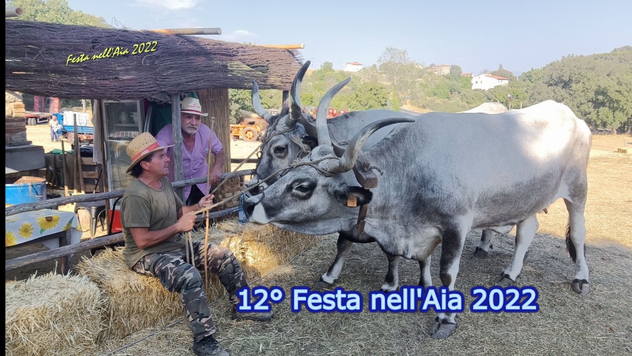 12° Festa nell'Aia di Roccastrada 2022