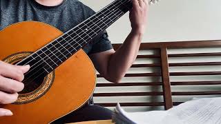 Song from a secret garden ( Takamine no.5 1981)