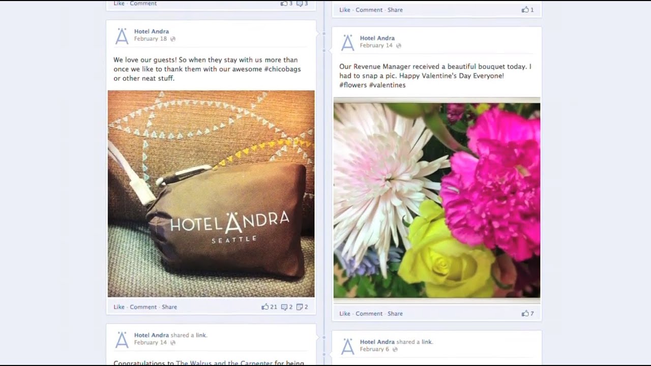 Hotel Andra | Case Study |  Hotel Marketing Services