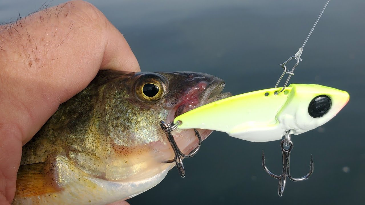 Oneida Lake fishing report June 25, 2023 YouTube