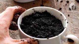 Cách trồng cây Bạc Hà không tốn kém mà đuổi muỗi lại cực tốt