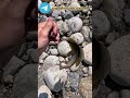 Хариуса поймал на фиолетовую мушку #рыбалка #fishing #рыба #россия #природа #nature