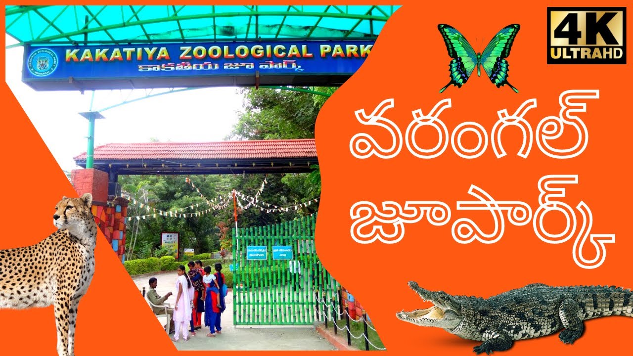 Warangal Zoo Park 2022 Kakatiya Zoological Park Warangal 4K YO YO