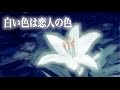 『白い色は恋人の色』コーラスver.