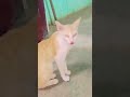 duniya ka sabse khubsurat aadmi 😱#viral #funny #comedy #trending #viralvideo #shortvideo #shorts