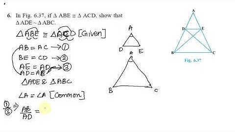 Triangles Exercise 6.3 Q 6 in Tamil | Class 10 Maths in Tamil | CBSE NCERT Mathematics in Tamil