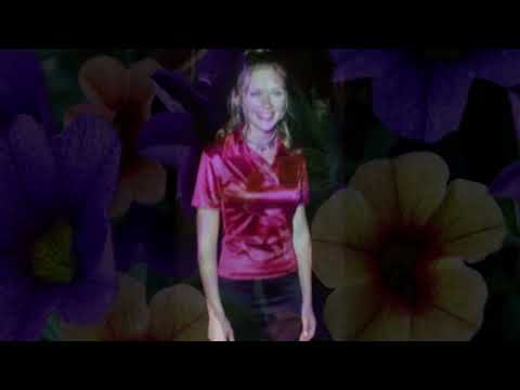 الفية ابن عمار