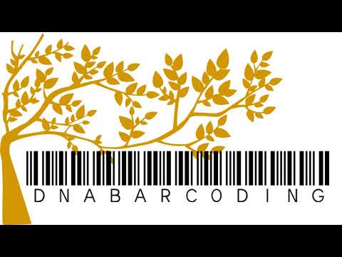 Plant taxonomy Lecture - DNA Barcoding in Plants