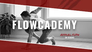 Flowcademy by Animal Flow On Demand