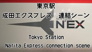 【JR東日本】東京駅成田エクスプレス　連結シーン　Japan Tokyo Station Narita Express connection scene