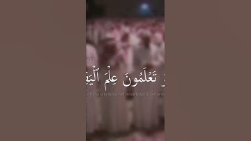 سورة التكاثر