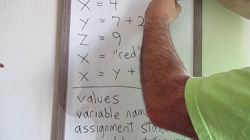 Begin Computer Science, Values, Variables, Assignment Statements