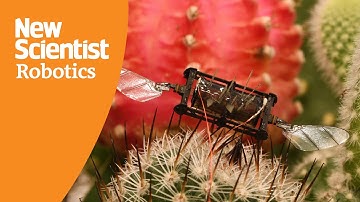 Robot bugs continue flying even after suffering wing damage