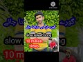 Gore Tun Sy Srakta Jaay Slow Rewarb Song Qadeer Husain 786 Www Com You Tube Wwwww 2024