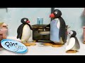 Pingu Cooks a Meal! | Pingu Official | Cartoons for Kids