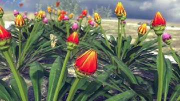 Garden Flowers and Herbs 1 v1.2 - Asset Store - Unity