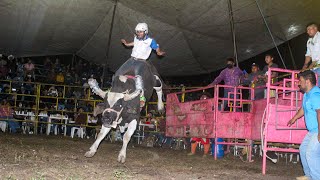 RODEOBAILE COETZALA 2024