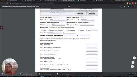 How To Fill Out PPP Loan Forgiveness Form 3508EZ (Full Guide)