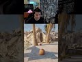 Coconut simulator is the biggest scam ever #funnygame #gaming #worstgames