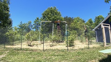 Blueberries: Putting Up Bird Netting #blueberry #birdnetting