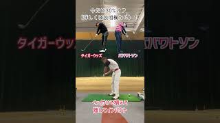 【お得セット】フレループ　ダワキンスティック セット 楽天市場】Lynx ダワ筋スティック プロ リンクス ゴルフ ダワ筋